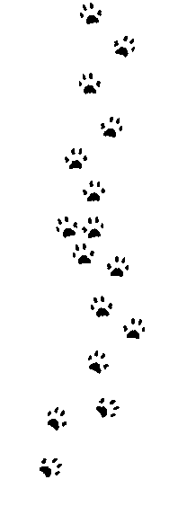 doggie foot prints for testimonial page